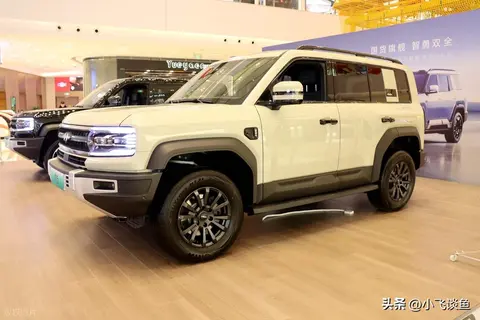 方程豹：赠予暴雨救援车主一辆豹5，启动100万元救援公益基金